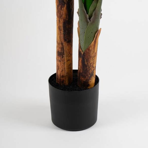 Scottish Everlastings 160cm Real Touch Banana Tree