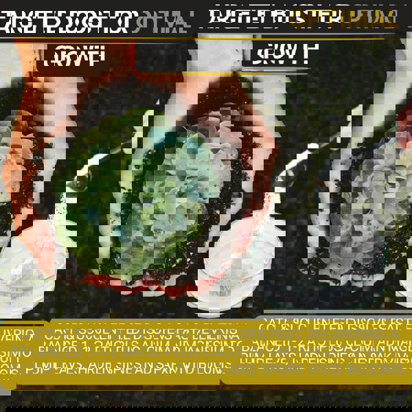 Bronte Heritage Cacti & Succulent Fertiliser – 250g water-soluble powder for indoor/outdoor plants. Promotes healthy growth & plump leaves