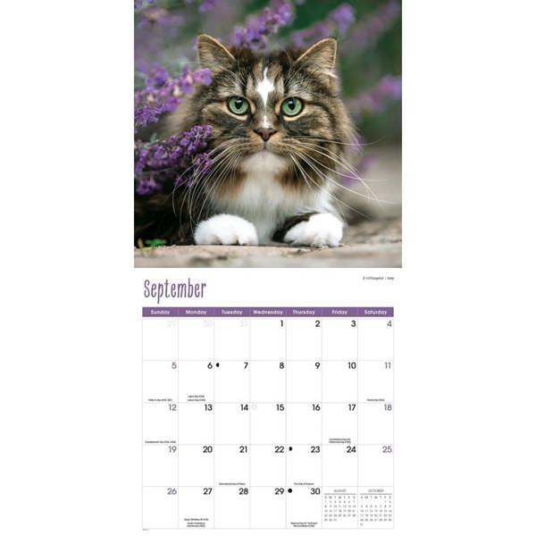 Cats Calendar 2027, Wall Calendars, Month To View, Cats, Gift