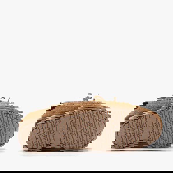 1612799064-34449600.jpg