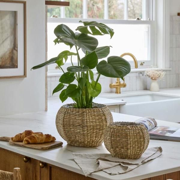 Ivyline Norwick Seagrass Pumpkin Basket Set of 2