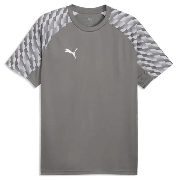 Puma Mens TeamLIGA 26 T Shirt Football Jersey Grey 659721