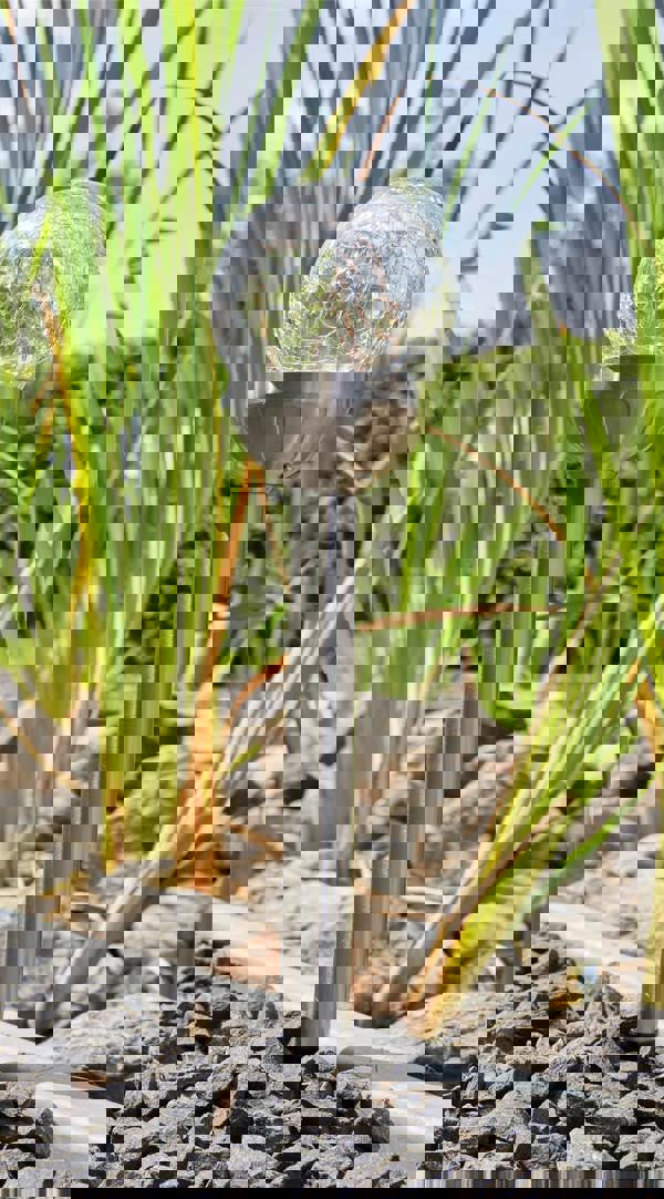 Luxform Solar Congar Spike Light Globe