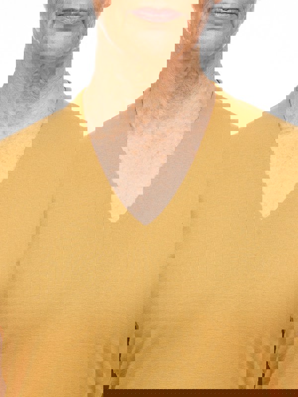 PennyPlain High Back V-neck Top - Gold