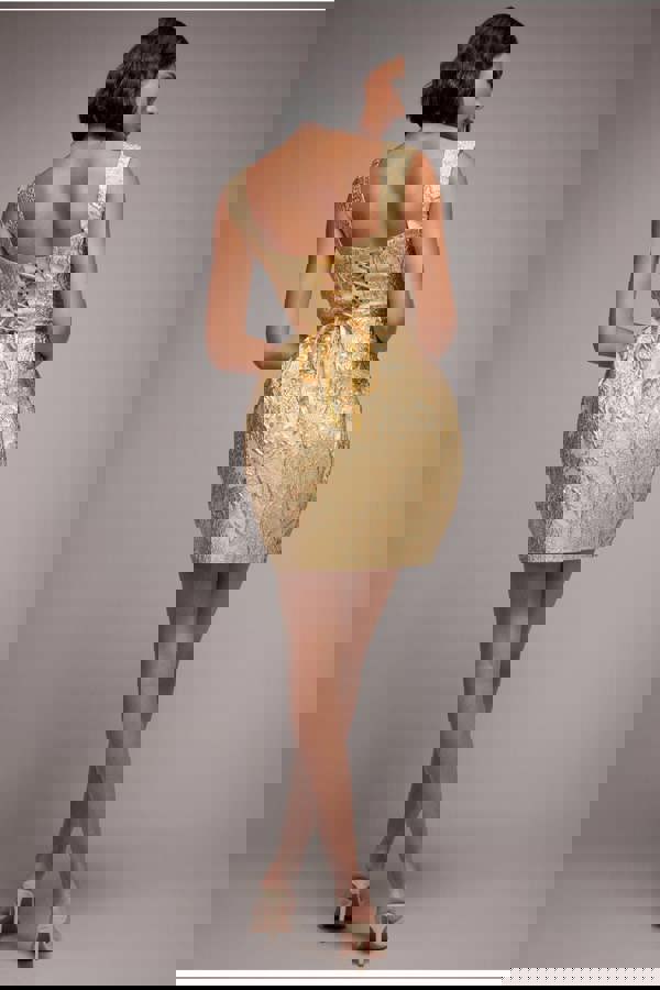 Corset Balloon Skirt Lace Up Back Mini Dress - Gold DR4778