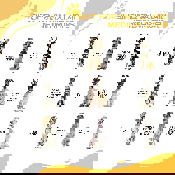 D06-213V00WT