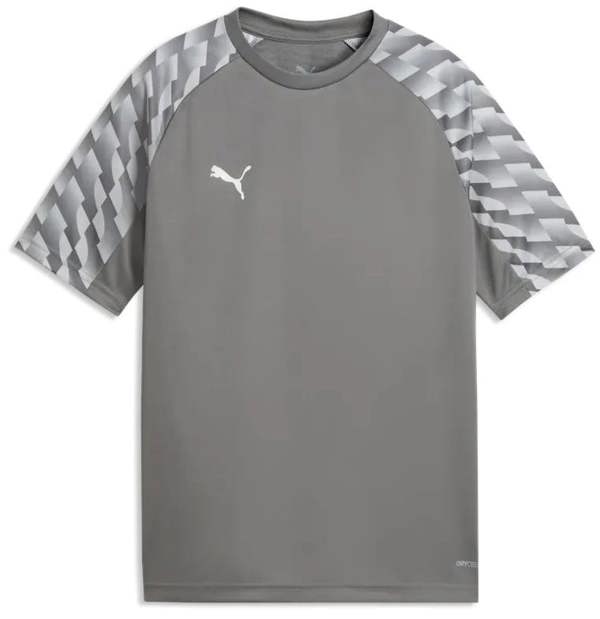 Puma Junior TeamLIGA 26 T Shirt Football Jersey Grey 659723