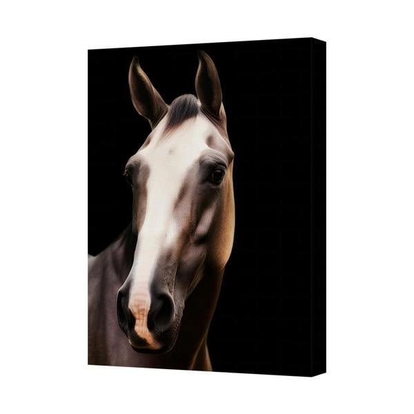 Benjamin Tate Design Horse Head Portrait Canvas Art Print Black Background 6726