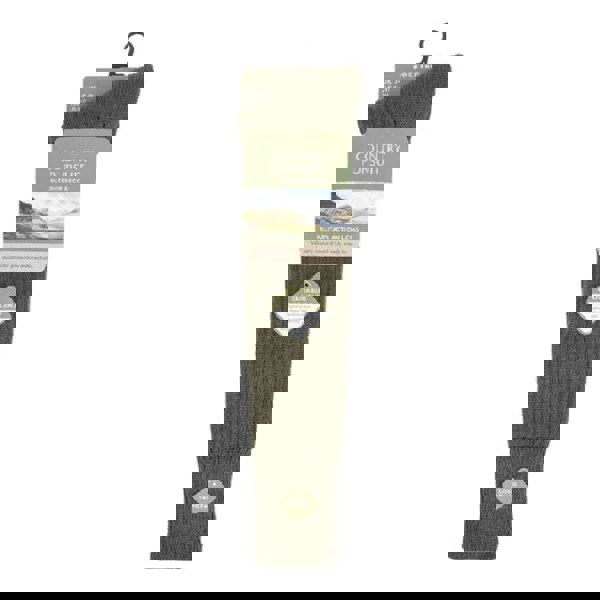 t4option1_1