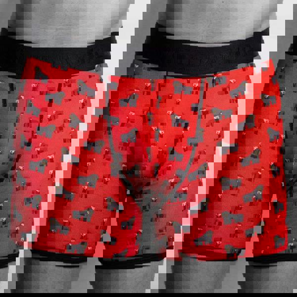 SWOLE PANDA Bamboo Boxers, Perfected for Comfort