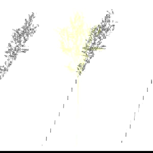 Hill Interiors Broom Artificial Flower - Green - 