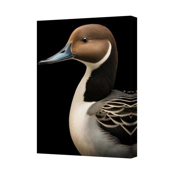 Benjamin Tate Design Canvas Wall Art Mallard Duck Portrait On Black Background
