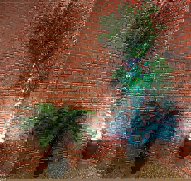 St Helens Outdoor RGB Tubelight 6m Length