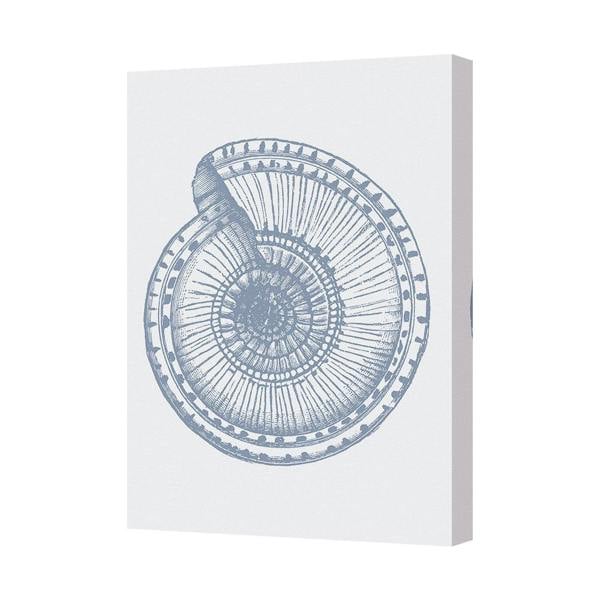 Benjamin Tate Design Blue Nautilus Shell Canvas Wall Art Ocean Decor 8746