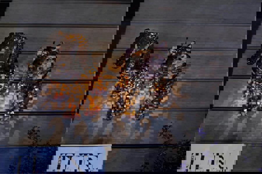 Luxform Solar Metal Cat Led Light