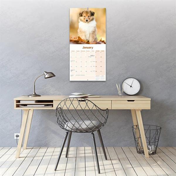 Collie Calendar 2027, Wall Calendars, Month To View, Dogs, Gift