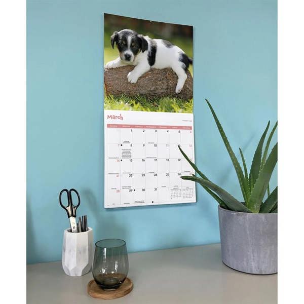 Playful Puppies Calendar 2027, Wall Calendars, Month To View, Dogs, Gift