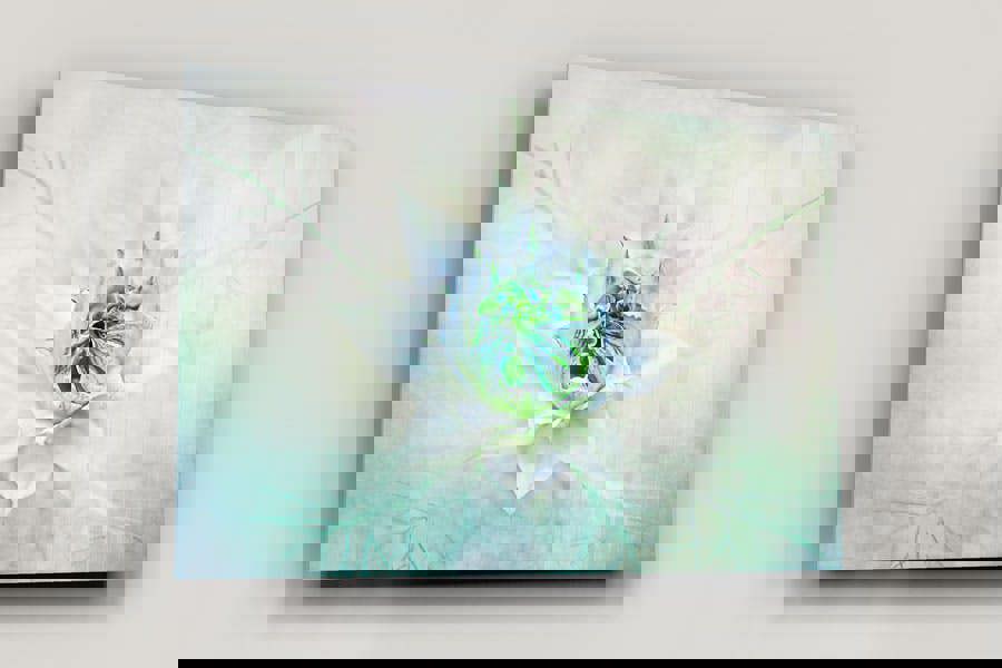 large botanical art prints