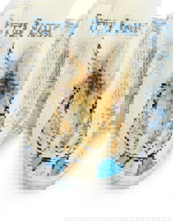 Peter Rabbit Unisex Kids Multicoloured Character Face Velcro Loafer Slippers