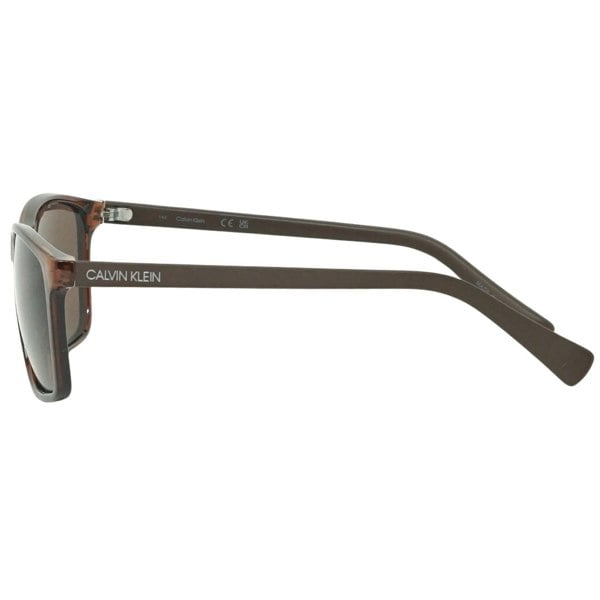 Calvin Klein Classic Brown Sunglasses