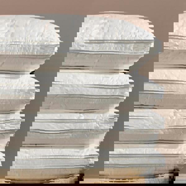 Soak&Sleep 80% Goose Down Pillows