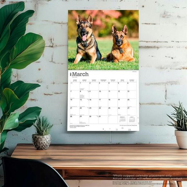 For The Love Of German Shepherds Deluxe Calendar 2027, Deluxe Calendars, Month To View, Dogs, Gift