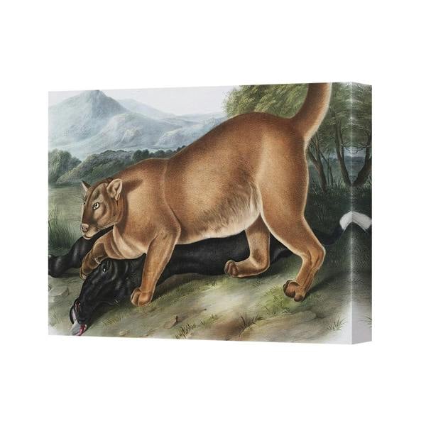 Benjamin Tate Design Wildlife Canvas Print Cougar Attacking Black Dog 2604
