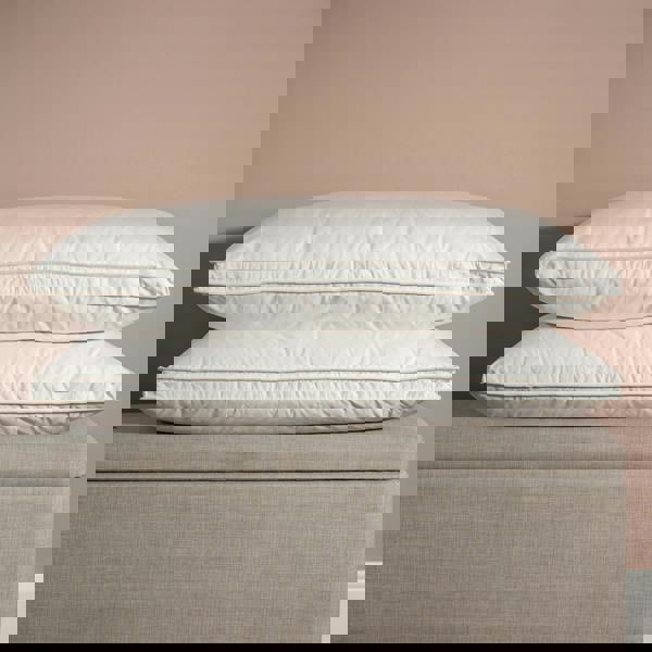 Soak&Sleep Hungarian Goose Down Pillows