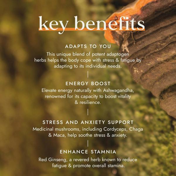 Fushi Wellbeing Adaptogen Energy Blend