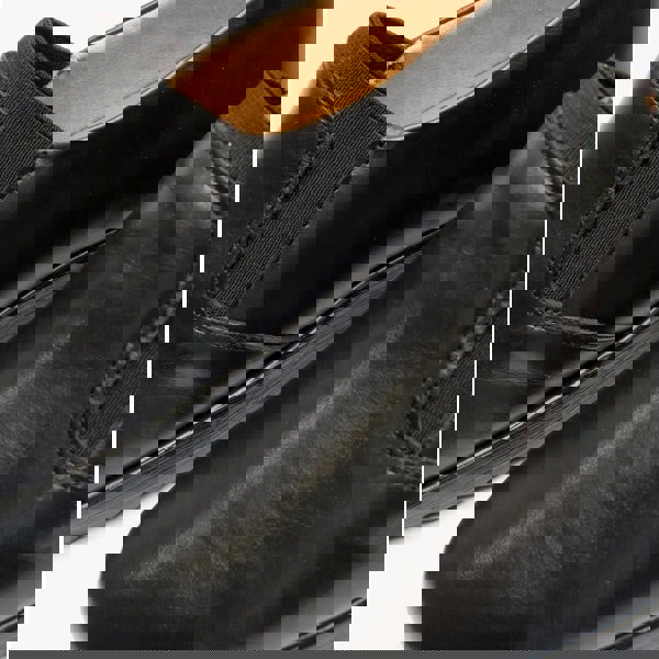 1666875764-69081000.jpg