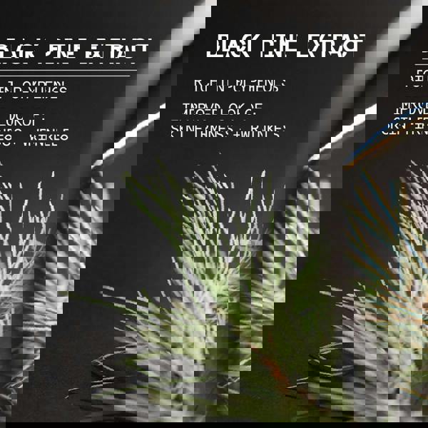 Korres Black Pine 4D Overnight Total Revival Serum 40 ml