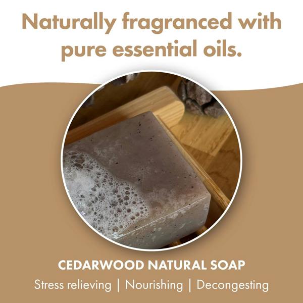 Friendly Soap 3 Pack - Natural Soap - Cedarwood