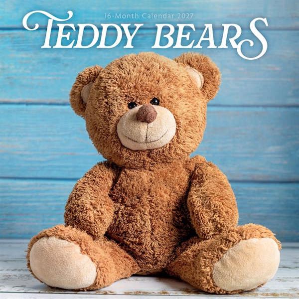 Teddy Bears Calendar 2027, Wall Calendars, Month To View, Family, Gift