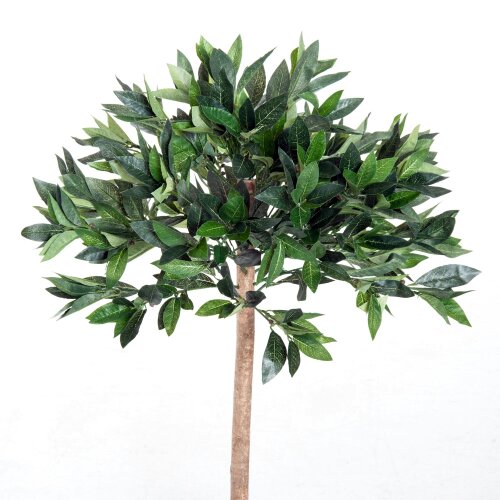 Wyld Haus Miva Set Of 2 Artificial Olive Style Trees In Green With Orange Pots