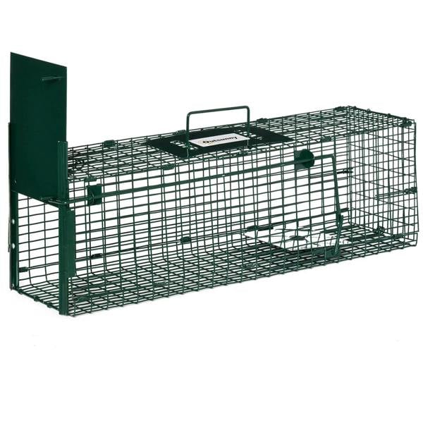 Dark green metal rat trap with single door and wire mesh enclosure