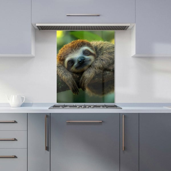 Warren Reed Sloth Glass Kitchen Splashback - 00039