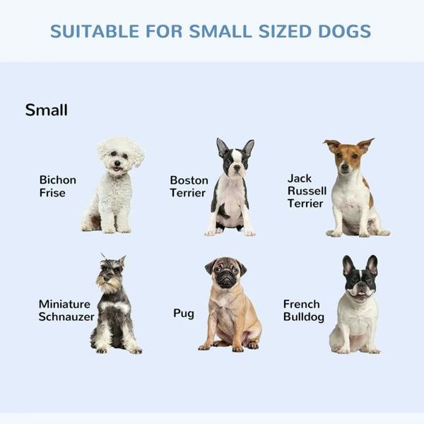 Small dog crate size guide with silhouettes of suitable small dog breeds