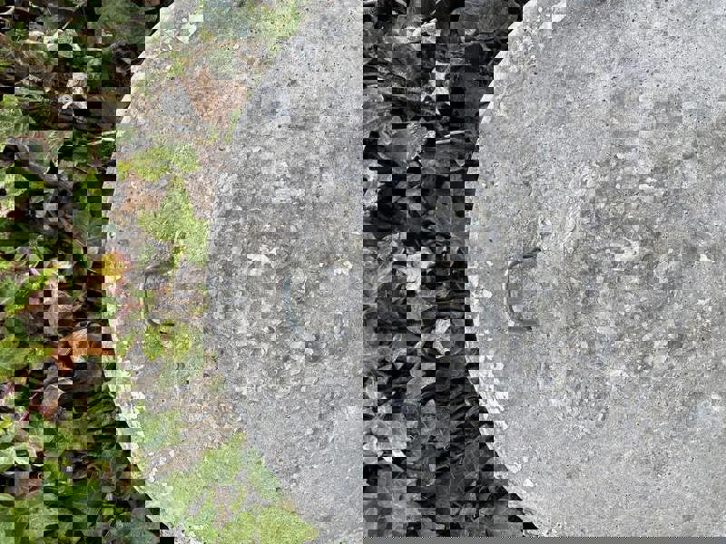 Sun design Welcome Garden Sign Plaque