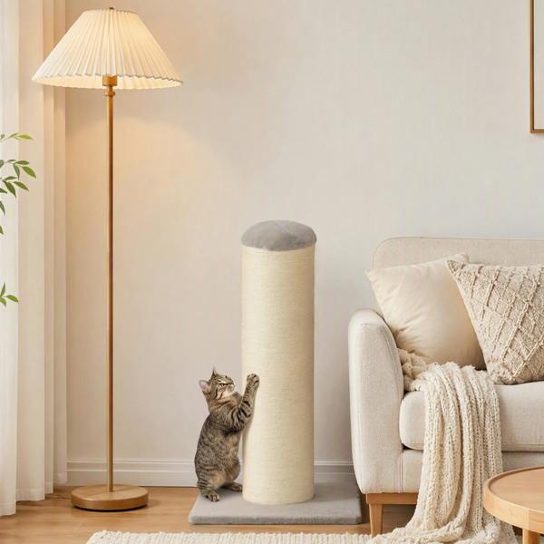 Cat Scratching Post
