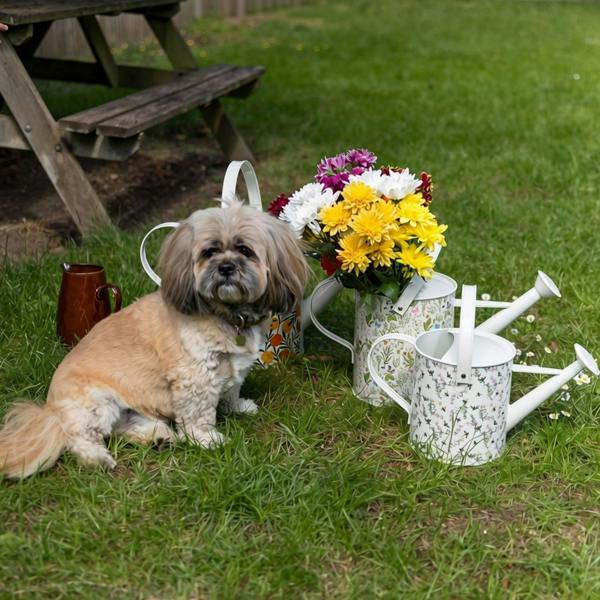 The British Gardening Company 9L Orangery Outdoor Metal Watering Can