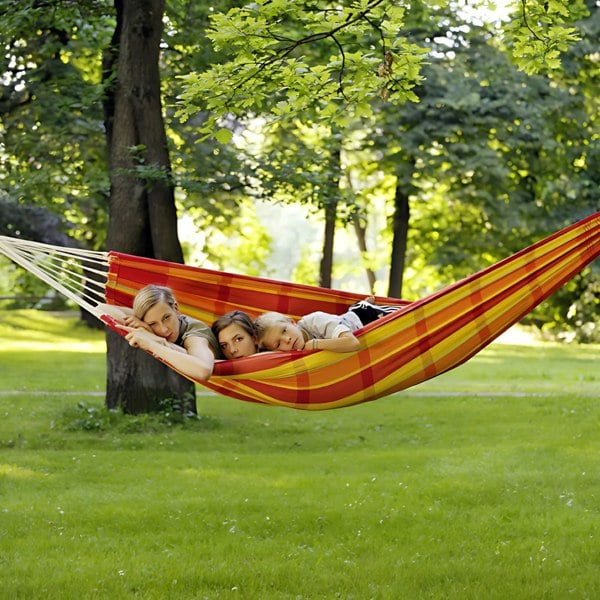 Amazonas Barbados Papaya Hammock