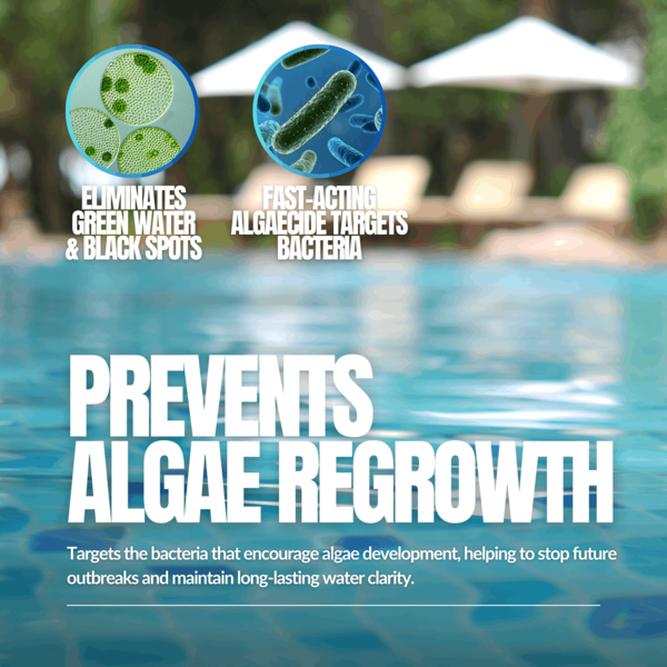 ProKleen Pro-Kleen Pool Algae Remover 10L - Removes & Prevents Algae Growth - High Concentration, Long-Lasting Professional Formula