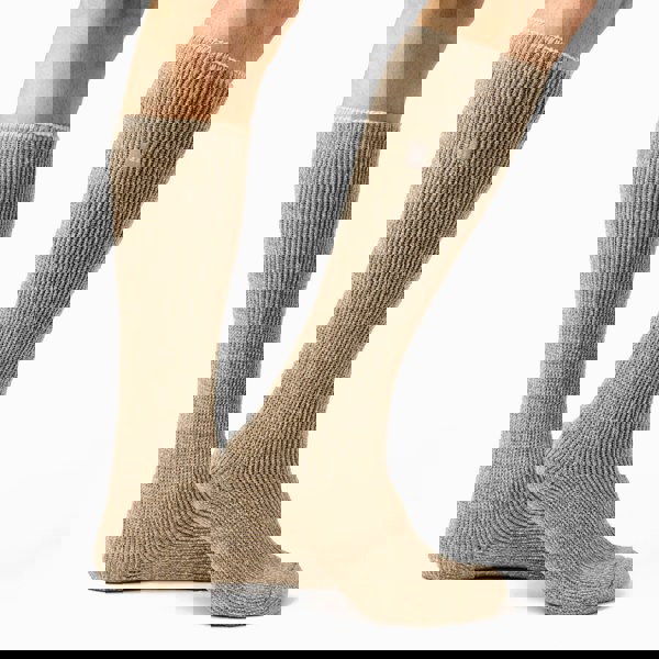 t4option1_1