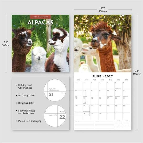 Alpacas Calendar 2027, Wall Calendars, Month To View, Animals, Gift