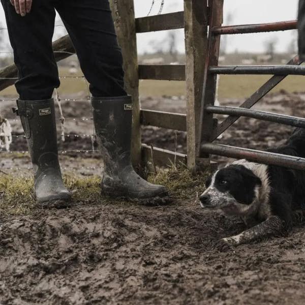 Hoggs of Fife neoprene lined wellington boots in use on the farm ideal for muddy fields and wet yards