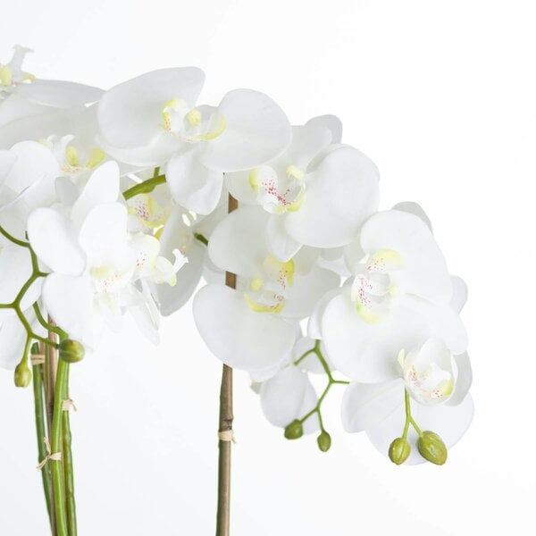 Wyld Haus Artificial Flowers Large White Orchid in Stone Pots
