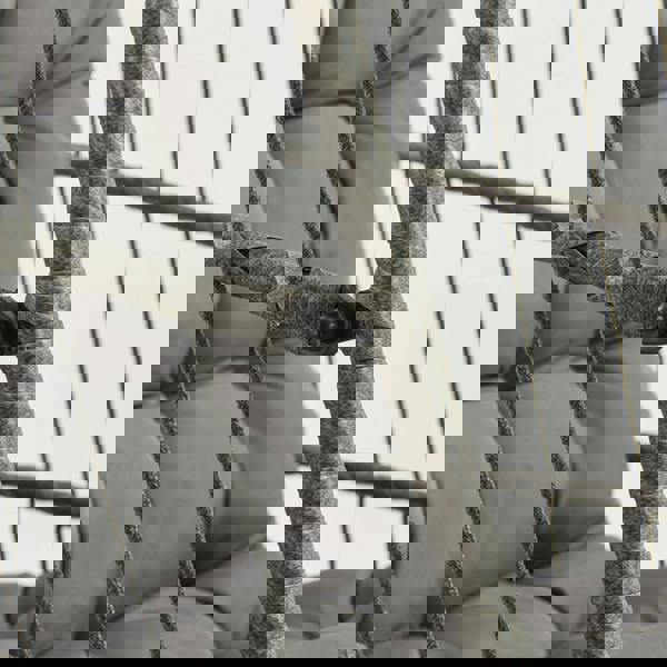 Grey rattan hanging egg chair featuring a cushioned seat, woven texture, and sturdy frame, ideal for indoor or outdoor relaxation