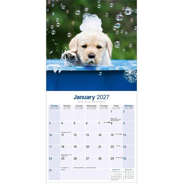 Yellow Labrador Retriever Puppies Calendar 2027, Wall Calendars, Month To View, Dogs, Gift