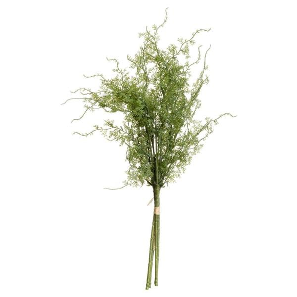 Wyld Haus Set of 3 Artificial Flowers Asparagus Fern Bunches