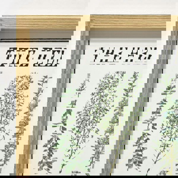 HOMESCAPES Set of 2 Flower Herbarium Wall Art